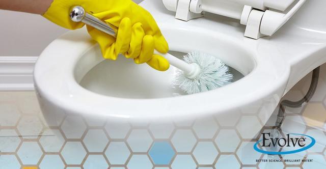 Calcium Buildup in Toilet: Why Does It Happen and How Can It Be Removed?