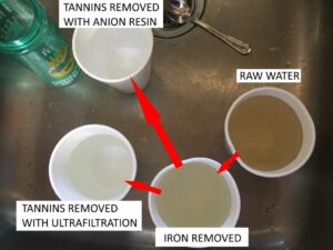 Water test results showing pH level